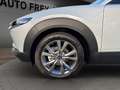 Mazda CX-30 2.5L e-SKYACTIV G 140ps Exclusive-Line Blanc - thumbnail 5