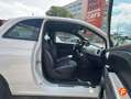 Fiat 500 Connect 1.0 Hybrid 51KW (70 CV) Blanco - thumbnail 8