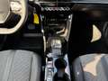 Peugeot 2008 1.2 PureTech 130 Allure +LED+CarPlay+Kamera+ Gris - thumbnail 12