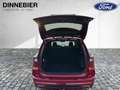 Ford Kuga ST-Line X LED+AHK+Glasdach+Kamera+SHZ Rot - thumbnail 8