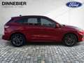 Ford Kuga ST-Line X LED+AHK+Glasdach+Kamera+SHZ Rot - thumbnail 6