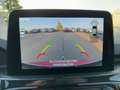 Ford Kuga ST-Line X LED+AHK+Glasdach+Kamera+SHZ Rot - thumbnail 19