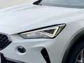 CUPRA Formentor 1.5 TSI DSG Sitzheizung+Navi+Sportsitze+ Tempomat Weiß - thumbnail 5