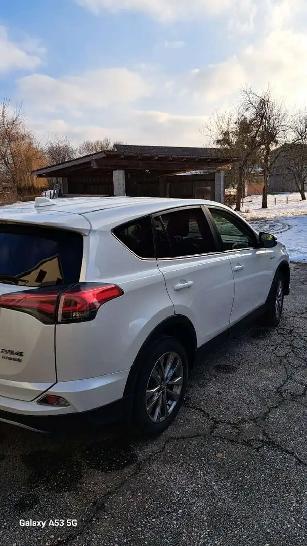 Toyota RAV4 RAV4 2,5 Hybrid Active 2WD Aut. Active Weiß - 1