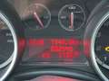 Alfa Romeo Giulietta Giulietta 1.4 tb Progression 105cv E6 Rosso - thumbnail 13