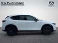 Mazda CX-5 2.5 AT Homura AWD AHK|360°|Matrix|Bose Weiß - thumbnail 7