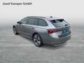 Skoda Octavia Selection TDI DSG Grau - thumbnail 4