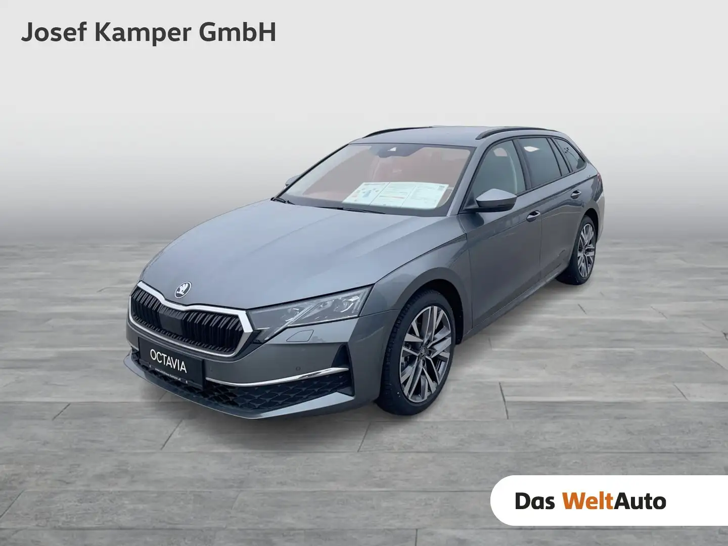Skoda Octavia Selection TDI DSG Grau - 1
