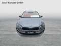 Skoda Octavia Selection TDI DSG Grau - thumbnail 8