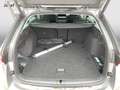 Skoda Octavia Selection TDI DSG Grau - thumbnail 9