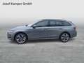 Skoda Octavia Selection TDI DSG Grau - thumbnail 2