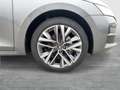 Skoda Octavia Selection TDI DSG Grau - thumbnail 6