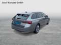 Skoda Octavia Selection TDI DSG Grau - thumbnail 5