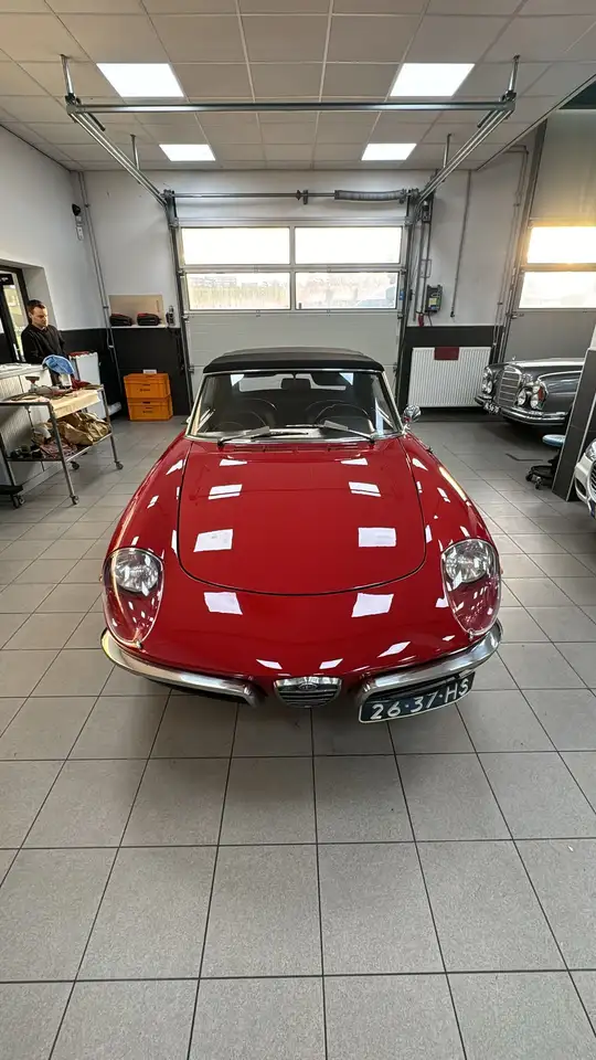 Alfa Romeo Spider Duetto, foto 10