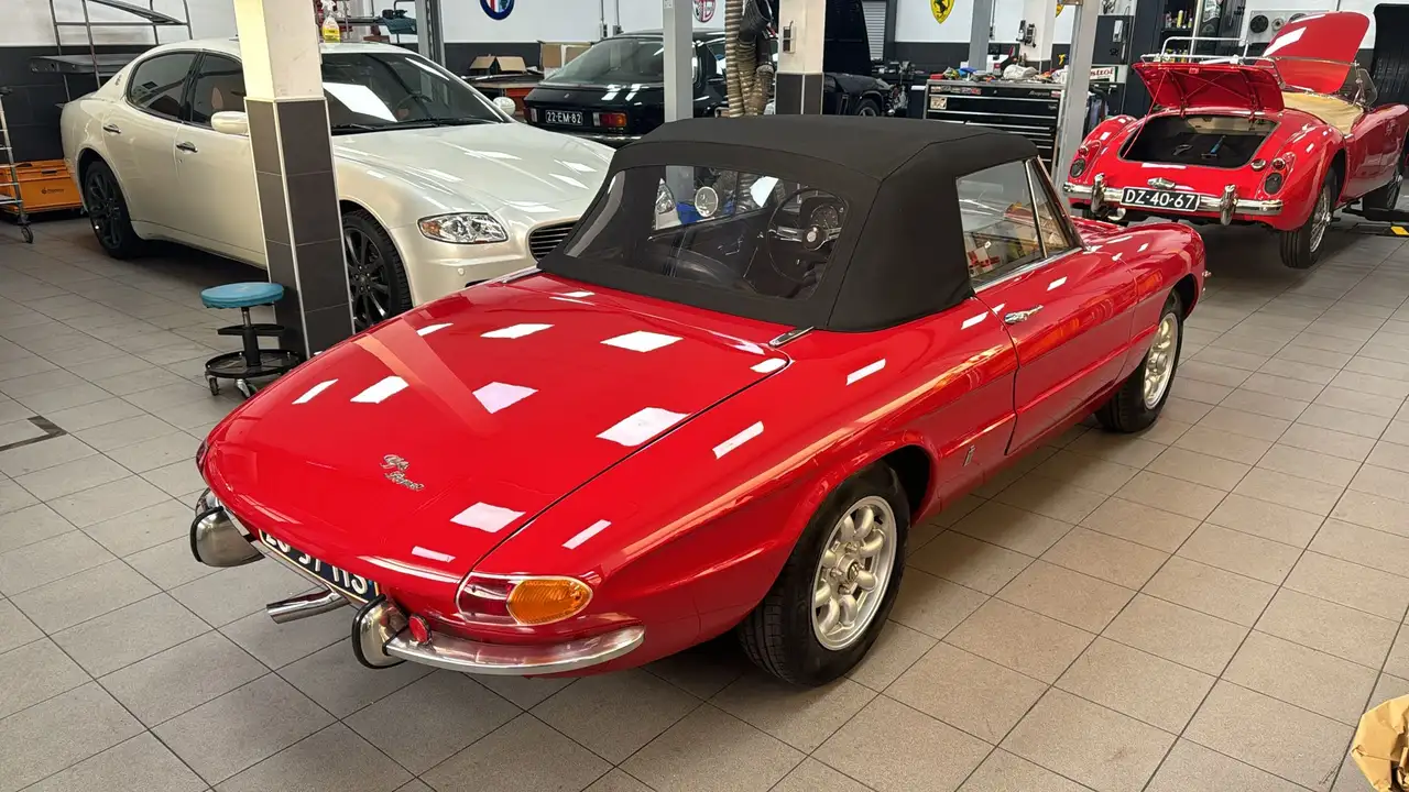 Alfa Romeo Spider Duetto, foto 12