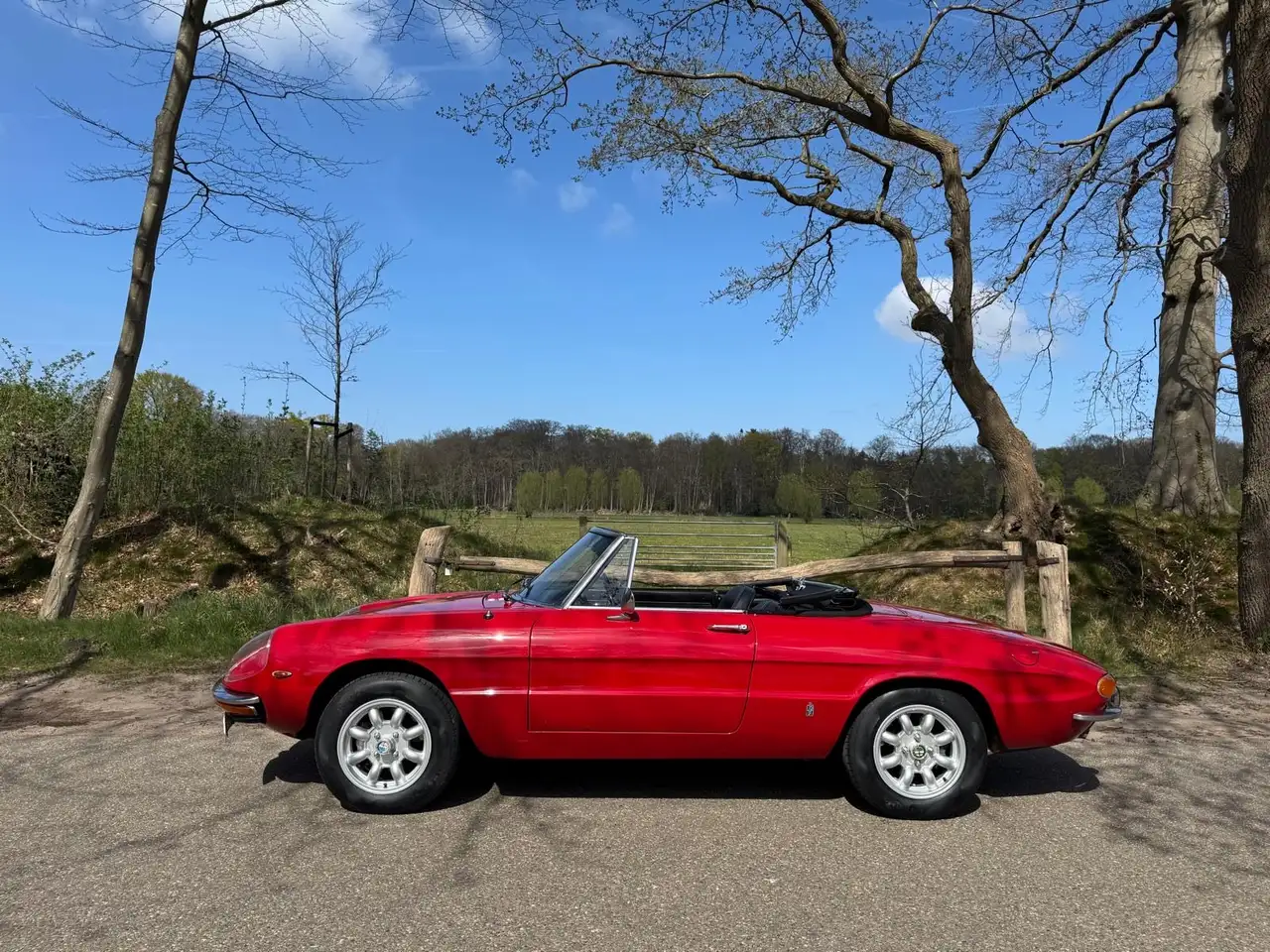 Alfa Romeo Spider Duetto, foto 6