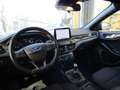 Ford Focus Focus ecoboost STLine 125 cv catena distribuzione Gris - thumbnail 12