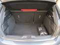 Ford Focus Focus ecoboost STLine 125 cv catena distribuzione Gris - thumbnail 13