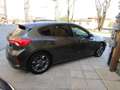 Ford Focus Focus ecoboost STLine 125 cv catena distribuzione Gris - thumbnail 6