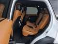 Land Rover Range Rover Sport Weiß - thumbnail 11