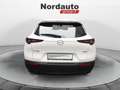 Mazda CX-30 2.0L Skyactiv-G M Hybrid 2WD Evolve Bianco - thumbnail 6