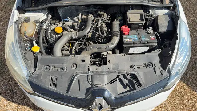 Renault Clio view 15