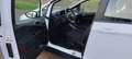 Ford B-Max B-Max 1.5 tdci Titanium 75cv E6 Blanc - thumbnail 22