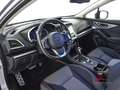 Subaru XV 2.0i e-Boxer MHEV Lineartronic Style Navi Grigio - thumbnail 8