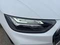 Audi Q5 35 2.0 tdi mhev S line plus s tronic Weiß - thumbnail 2