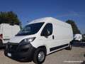 Fiat Ducato 33 2.3 MJT 140CV PLM-TA GARANZIA [A291] Blanc - thumbnail 1