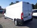 Fiat Ducato 33 2.3 MJT 140CV PLM-TA GARANZIA [A291] Blanc - thumbnail 4