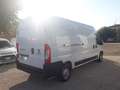 Fiat Ducato 33 2.3 MJT 140CV PLM-TA GARANZIA [A291] Blanc - thumbnail 3