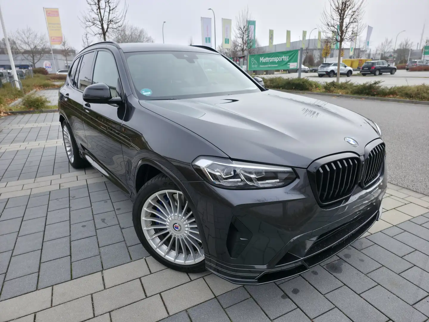 Alpina XD3 XD3 Grey - 2