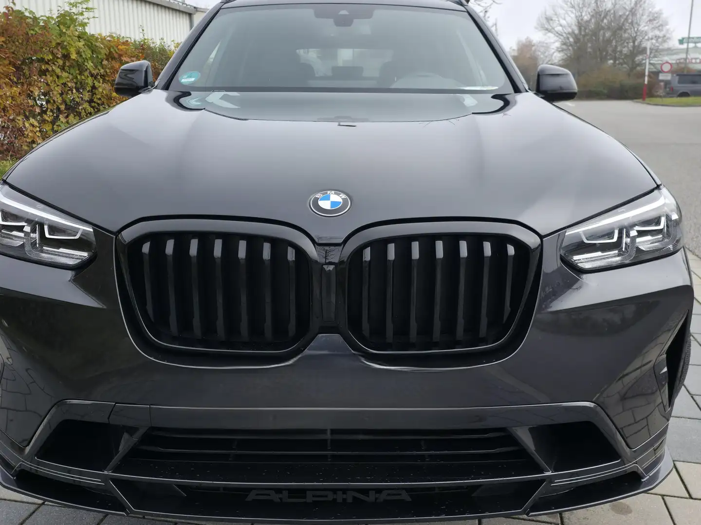 Alpina XD3 XD3 Grey - 1