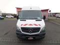 Mercedes-Benz Sprinter 316 cdi Hoch/Lang LKW Kasten+Klima+Standhz+3Sitzer Weiß - thumbnail 3