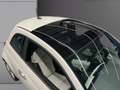 Fiat 500 500 1.0 70 ch Hybride BSG S/S Hybrid Launch Edition Wit - thumbnail 14