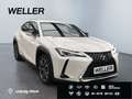 Lexus UX 250h Style Edition *Bi-LED*ACC*CAM*SHZ*CarPlay* Weiß - thumbnail 4