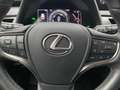 Lexus UX 250h Style Edition *Bi-LED*ACC*CAM*SHZ*CarPlay* Weiß - thumbnail 14