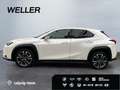 Lexus UX 250h Style Edition *Bi-LED*ACC*CAM*SHZ*CarPlay* Weiß - thumbnail 5