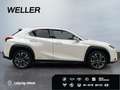 Lexus UX 250h Style Edition *Bi-LED*ACC*CAM*SHZ*CarPlay* Weiß - thumbnail 10