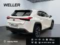 Lexus UX 250h Style Edition *Bi-LED*ACC*CAM*SHZ*CarPlay* Weiß - thumbnail 19