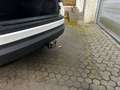 Skoda Kodiaq 2.0TDI Ambition 4x4 DSG*Navi*AHK*R.Kamera Weiß - thumbnail 19