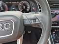 Audi Q7 55TFSI quattro competition plus*3 x S-LINE*CARBON* Gris - thumbnail 32