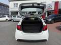 Toyota Yaris Basis Blanc - thumbnail 11