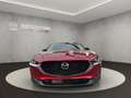 Mazda CX-30 HOMURA +KAMERA+LED+HEAD-UP+ Rood - thumbnail 8