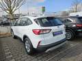 Ford Kuga 2.5 Duratec FHEV 4x4 COOL&CONNECT Weiß - thumbnail 5