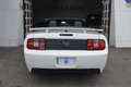 Ford Mustang GT V8 Blanco - thumbnail 11