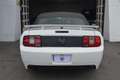 Ford Mustang GT V8 Blanco - thumbnail 10