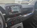 Fiat Panda HYBRID 70 CV ICON NESSUN OBBLIGO FINANZIARIO !! Blu/Azzurro - thumbnail 14