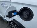 BYD Seal U DM-i PHEV 18,3kWh Boost Österreich Paket Weiß - thumbnail 29